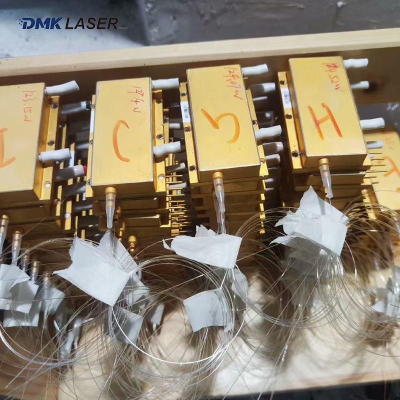 Raycus Laser Source Full Power - Industrial Laser Diode avaliação e preço